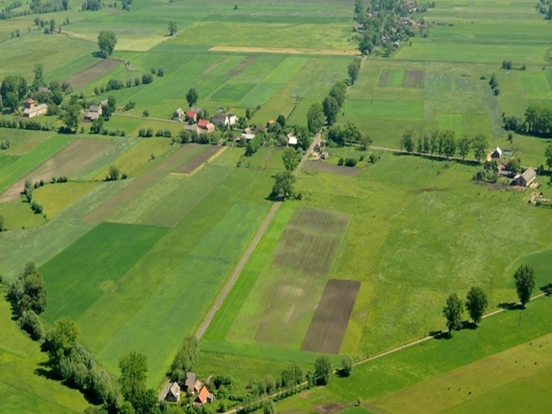 - 2019_07_22_lot_ptaka102.jpg - 2019_07_22_lot_ptaka102.jpg